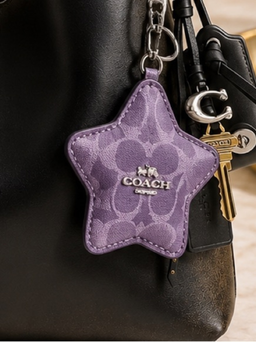 NEW Coach Iris Signature Star Bag Charm Mini Zip Pouch Keychain CBL12 NWT
